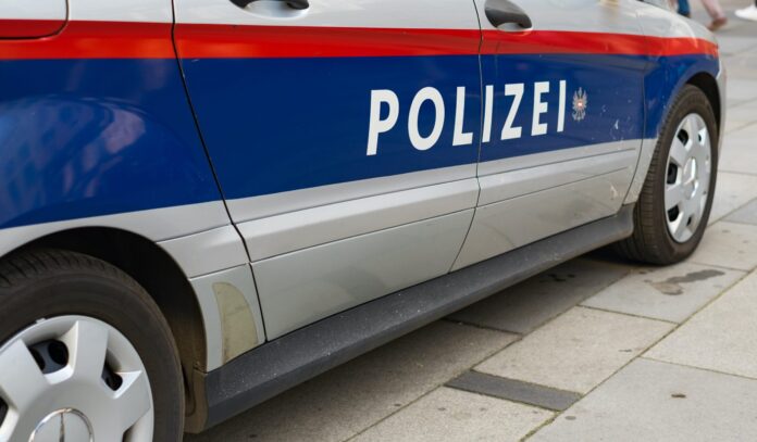 (C) iStock by Getty Images: WEGA, EKO Cobra und Bezirkskräfte der Polizei sind derzeit in Wien im Einsatz.