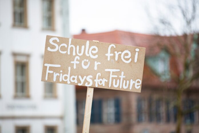 (C) Pexels: Fridays For Future rufen am 3. März auch in Wien zum weltweiten Klimastreik auf.