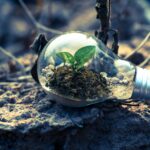 (C) Pexels: Die Earth Hour möchte ein Zeichen für den Klimaschutz setzen.