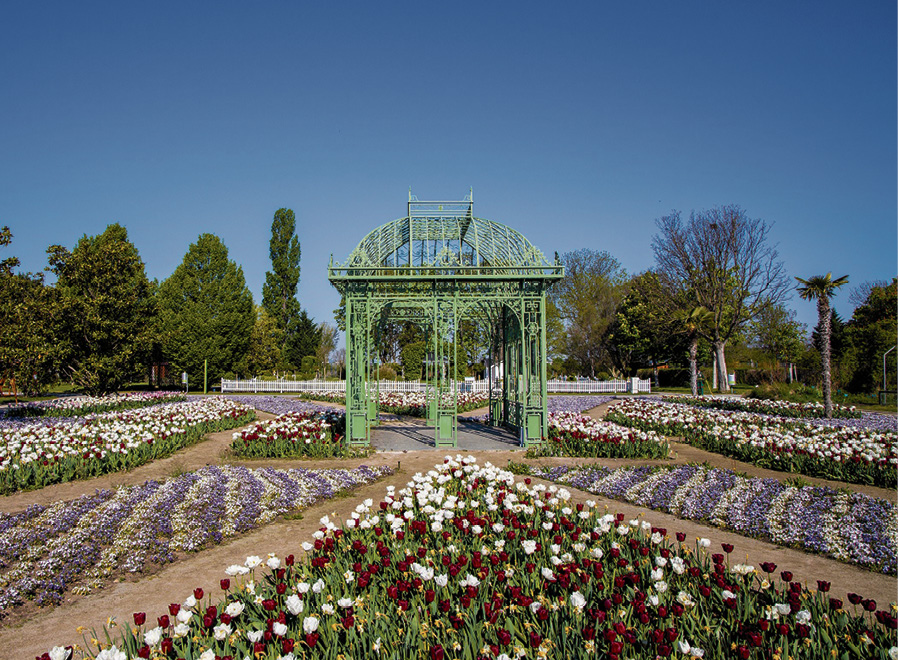 Hirschstetten: Hier blüht die Donaustadt richtig auf