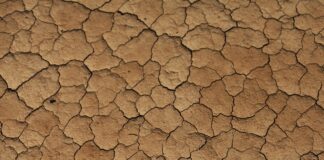 (C) Pexels: Dürren sind ein Teil der wissenschaftlich erwiesenen Veränderungen des Klimas.