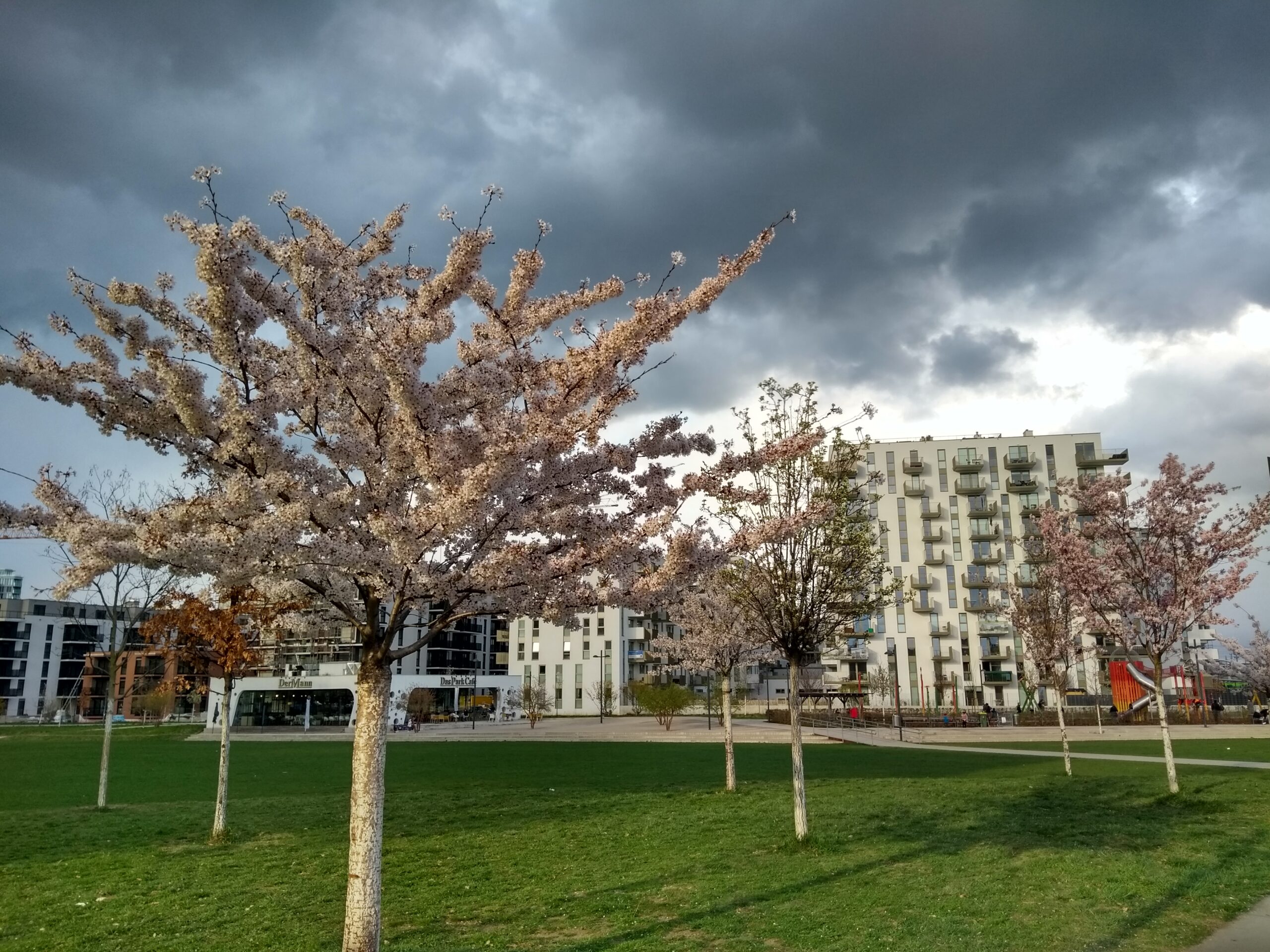 Woher weht der Wind in Wien? Und warum?