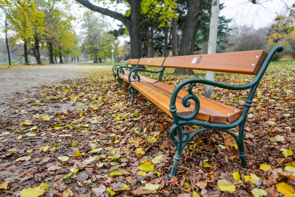 Erleichterung in zwei Parks: WC-Anlagen kommen!