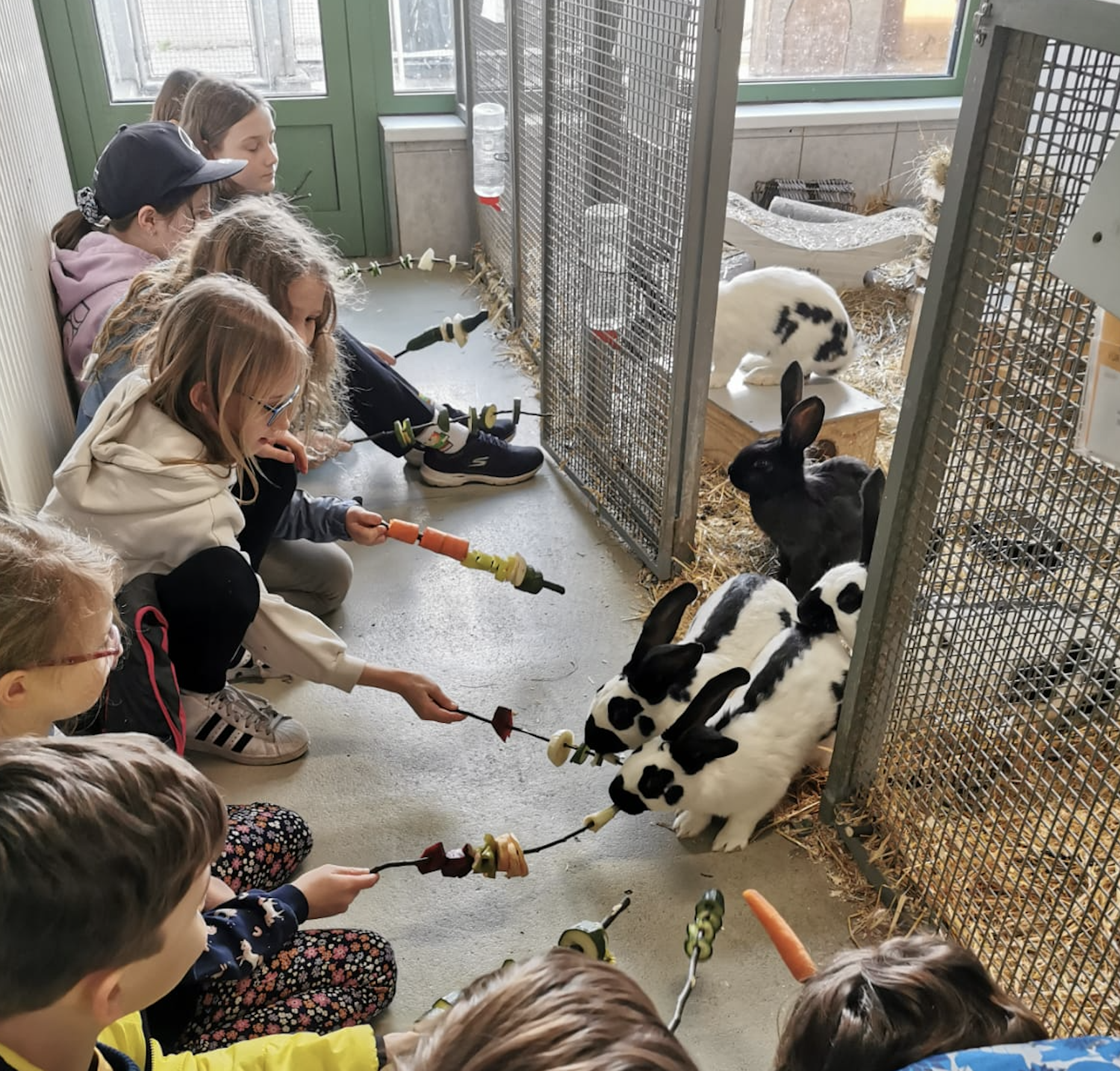 Kinder basteln zu Ostern tierische Geschenke