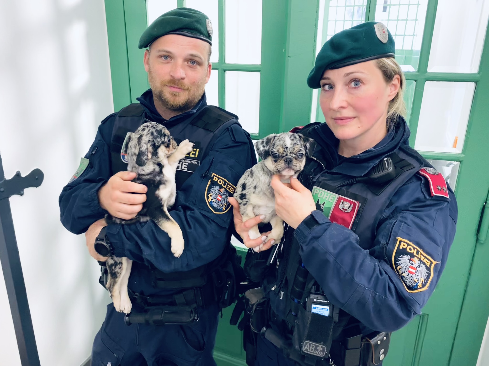 Mops-Händlerin wurde hops genommen