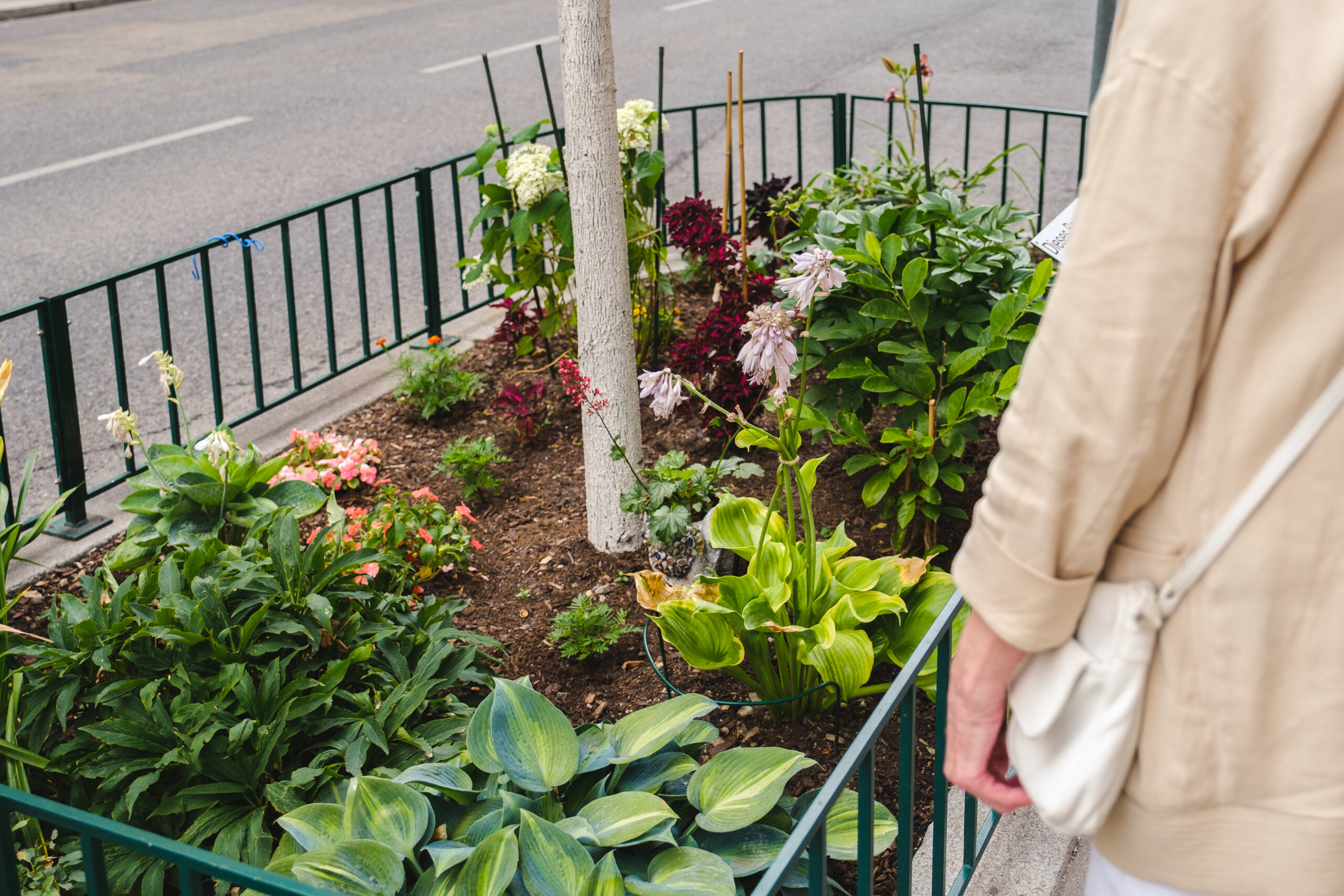 Grüne Daumen im Einsatz: GB*Gartelwochen starten