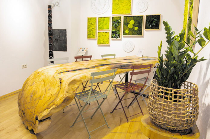 (C) Barbara Lachner: Beim Interior-Design setzt man auf den grünen Daumen von 