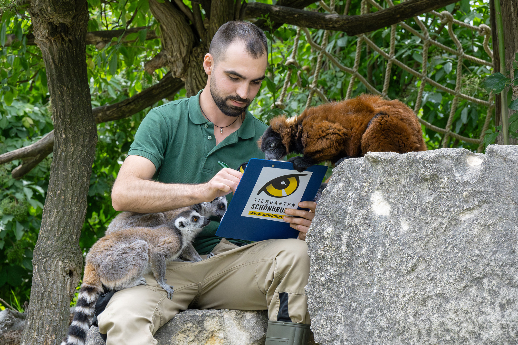 Eins, zwei, drei, vier … Wie viele Tiere leben denn hier?