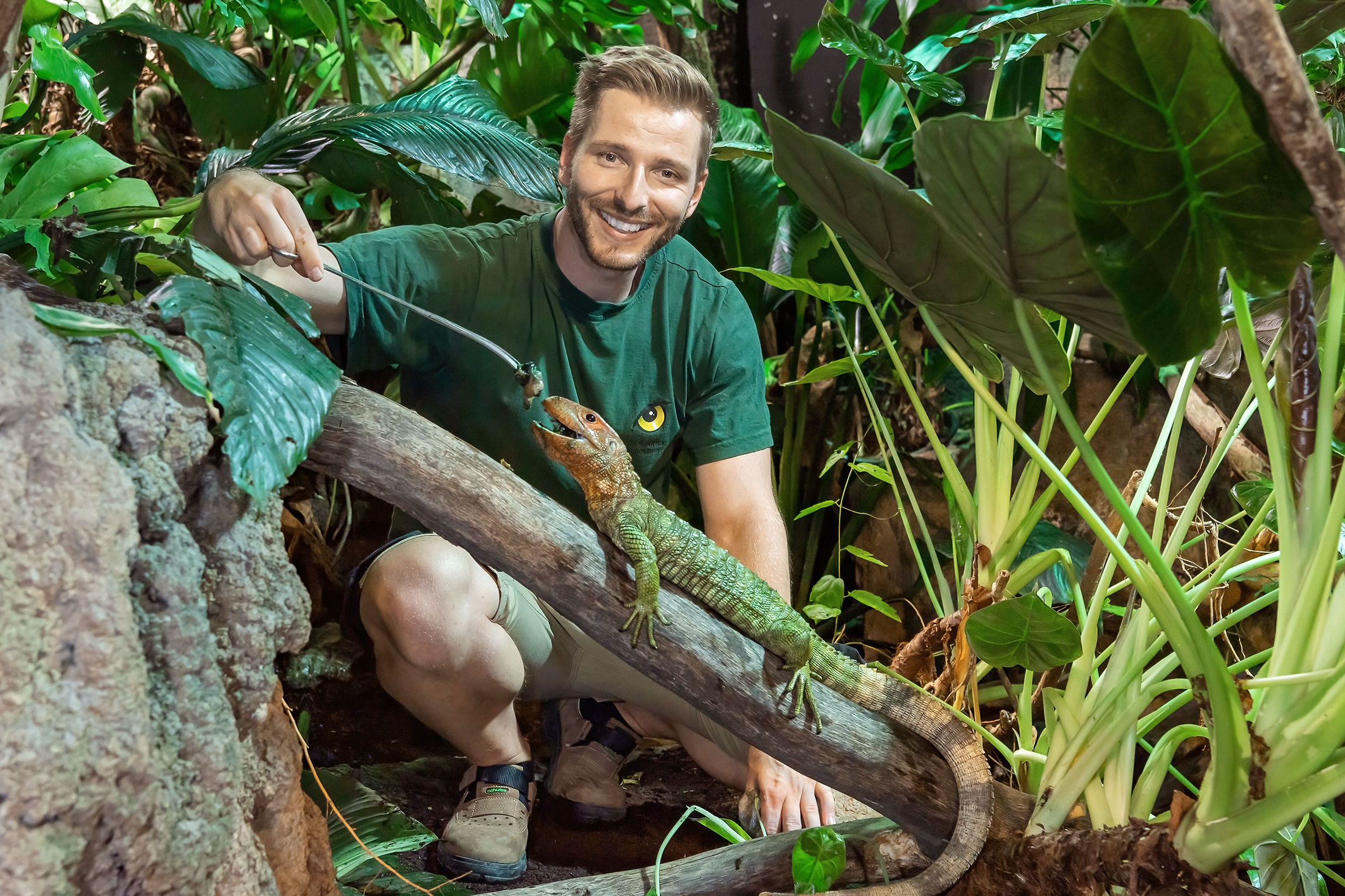 Kurs-Nachweis für Reptilien & Papageien nötig
