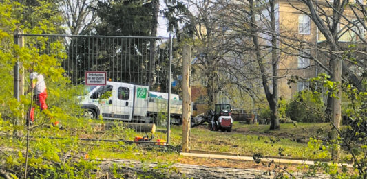 (C) Krause: Für den Schulausbau wurden 67 Bäume gefällt – die Ausrede, das Spital habe die Pflege vernachlässigt, stimmt bis zur Absiedlung 2019 nicht.