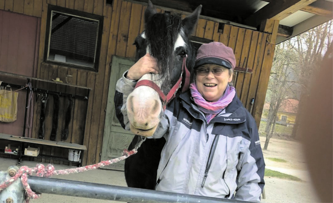 Künstlerisches „Duett“ mit einer Tinkerstute