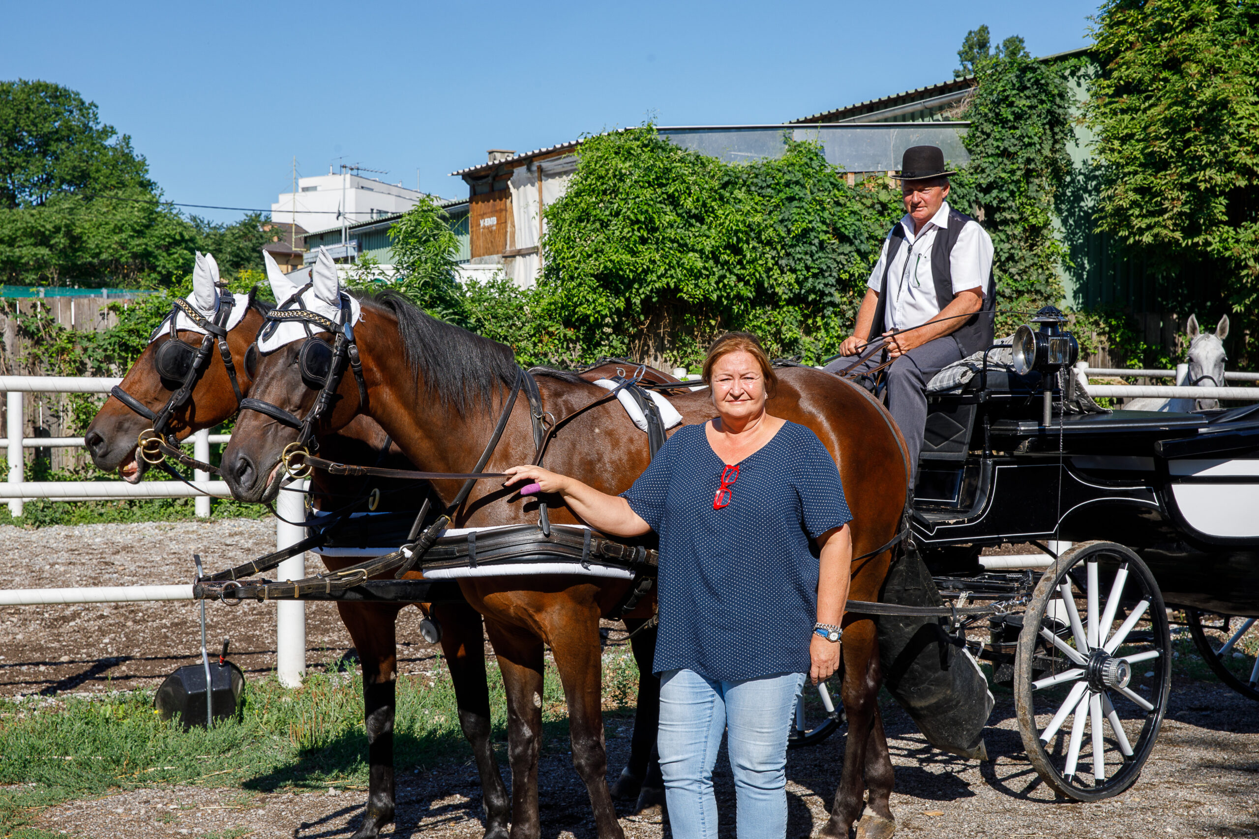 HüHott In der Innenstadt sind die Fiaker los! Wiener Bezirksblatt