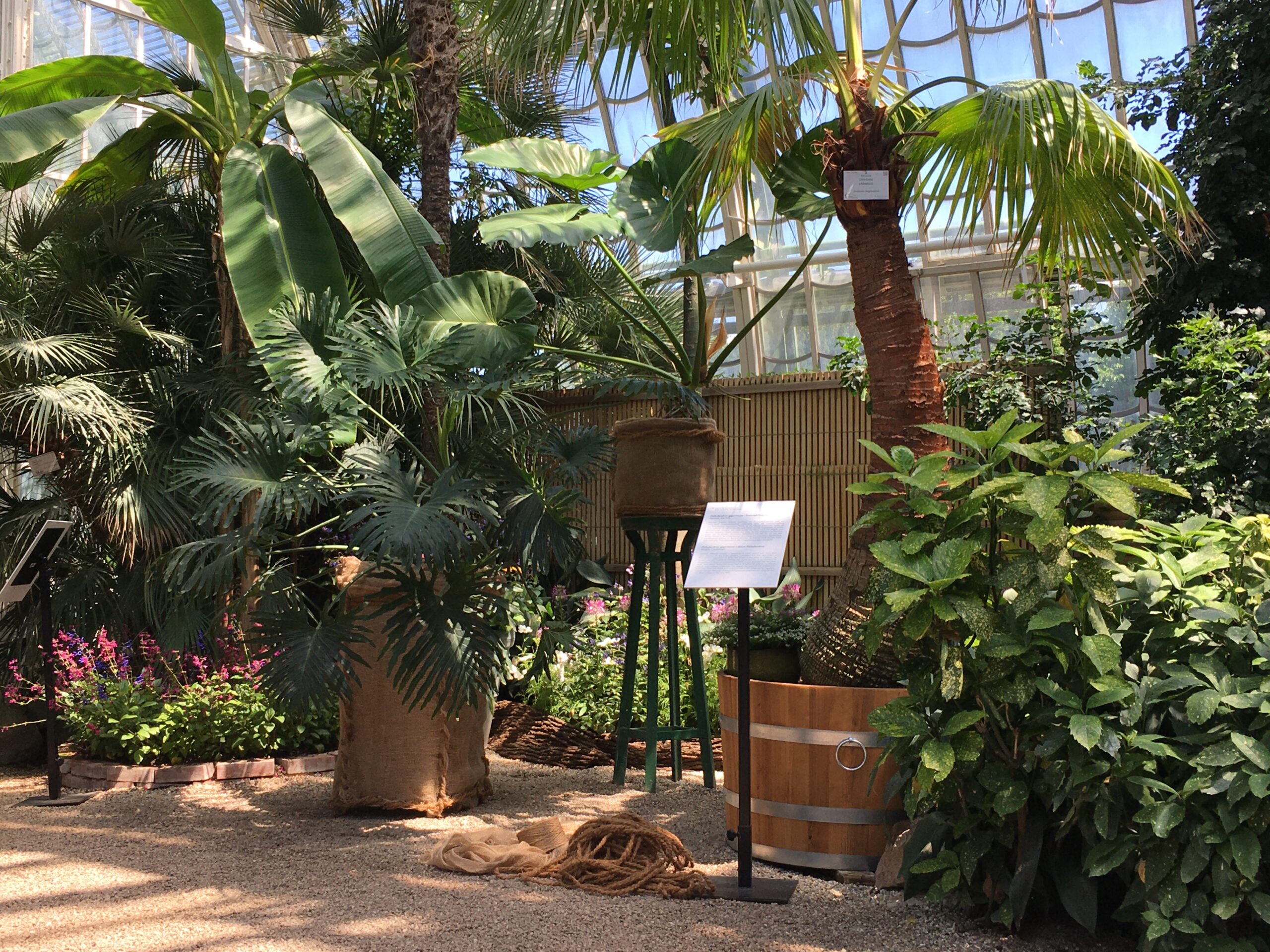 Im Palmenhaus geht’s „in 141 Jahren um die Welt”