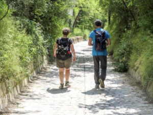 Zwei Wanderer von hinten betrachtet.