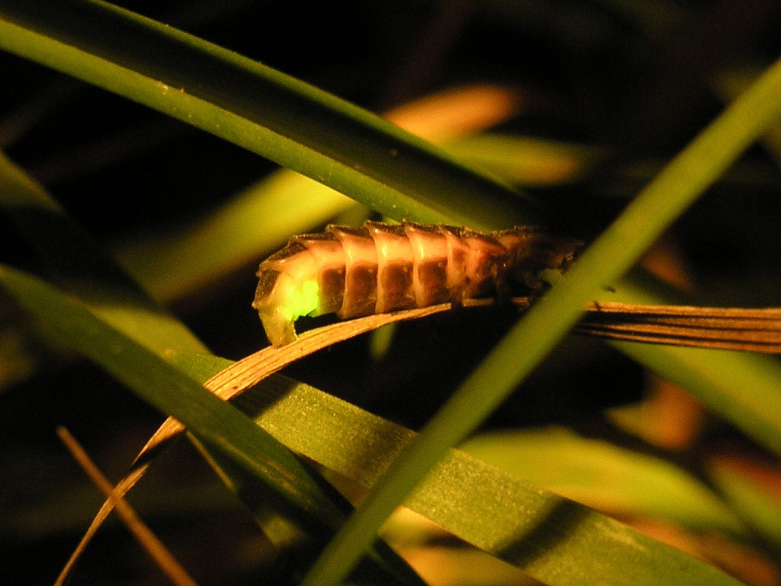 Bitte melden, wenn Ihnen am Abend ein Licht aufgeht