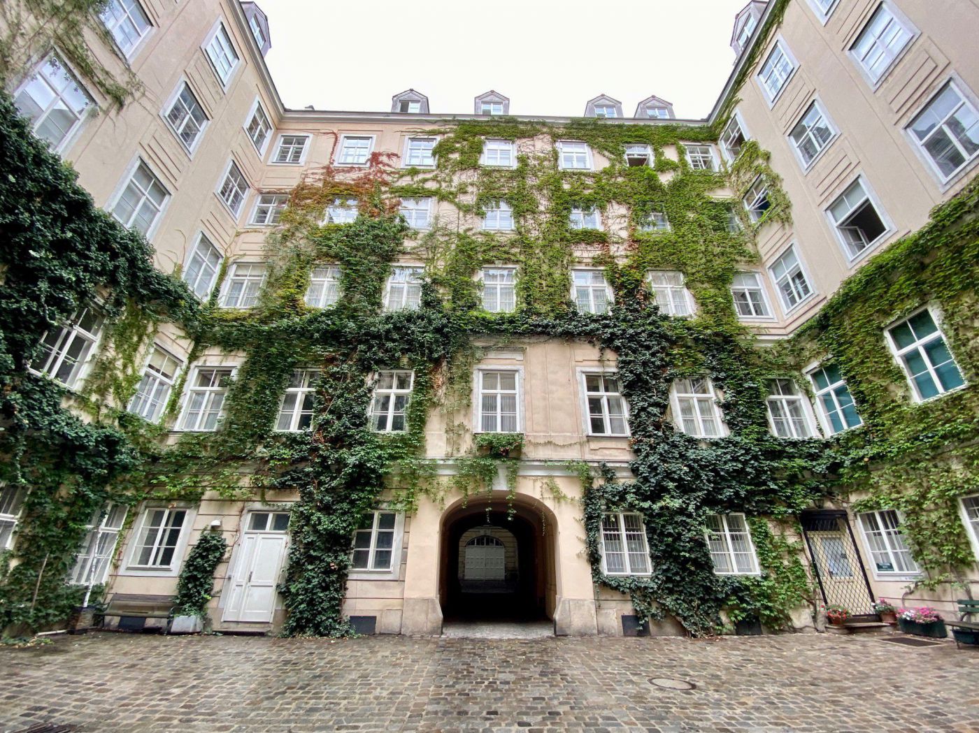 Pflanzen sorgen dafür, dass Menschen cool bleiben