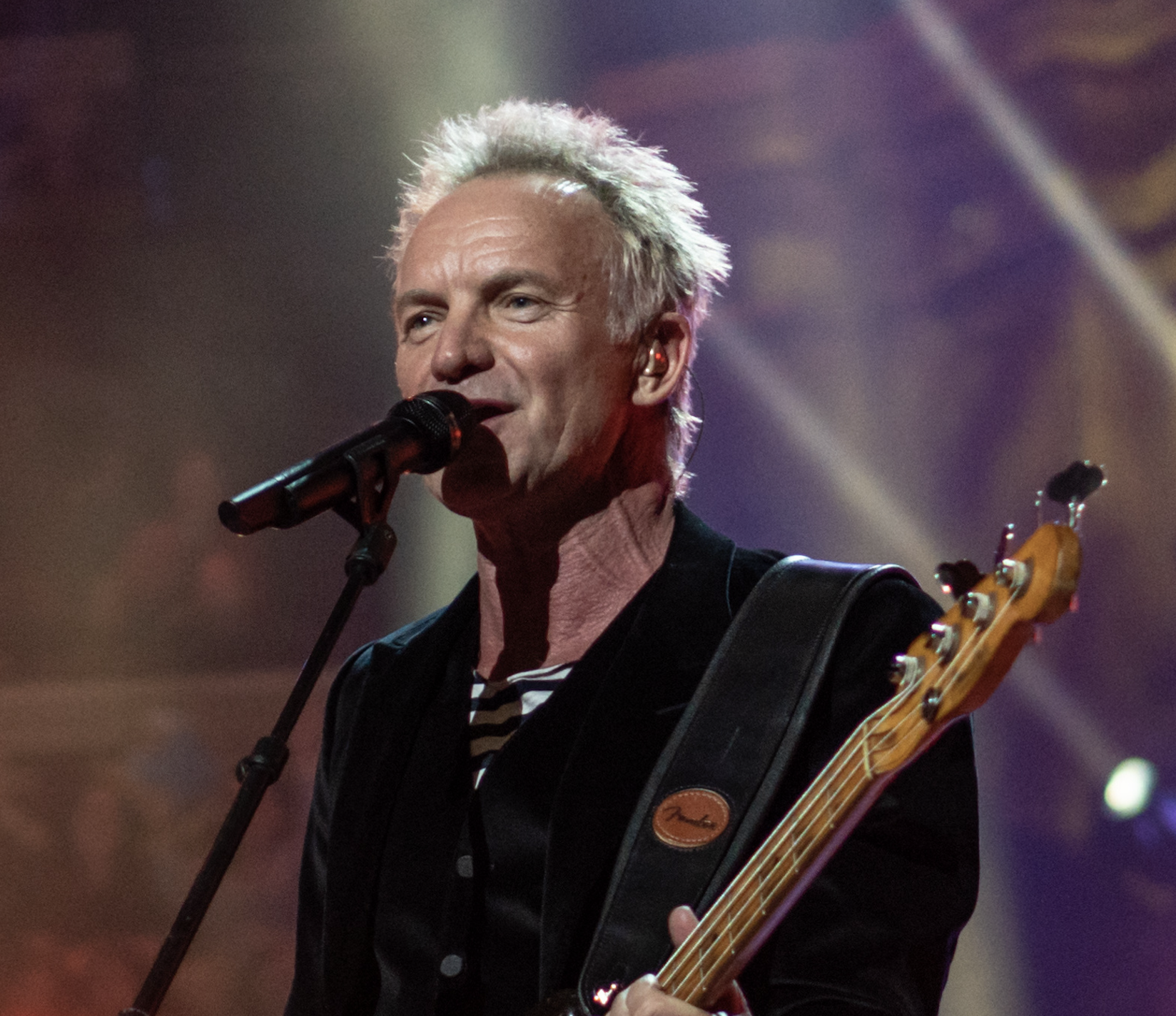 Die Konzert-Highlights im Stadthallen-Sommer