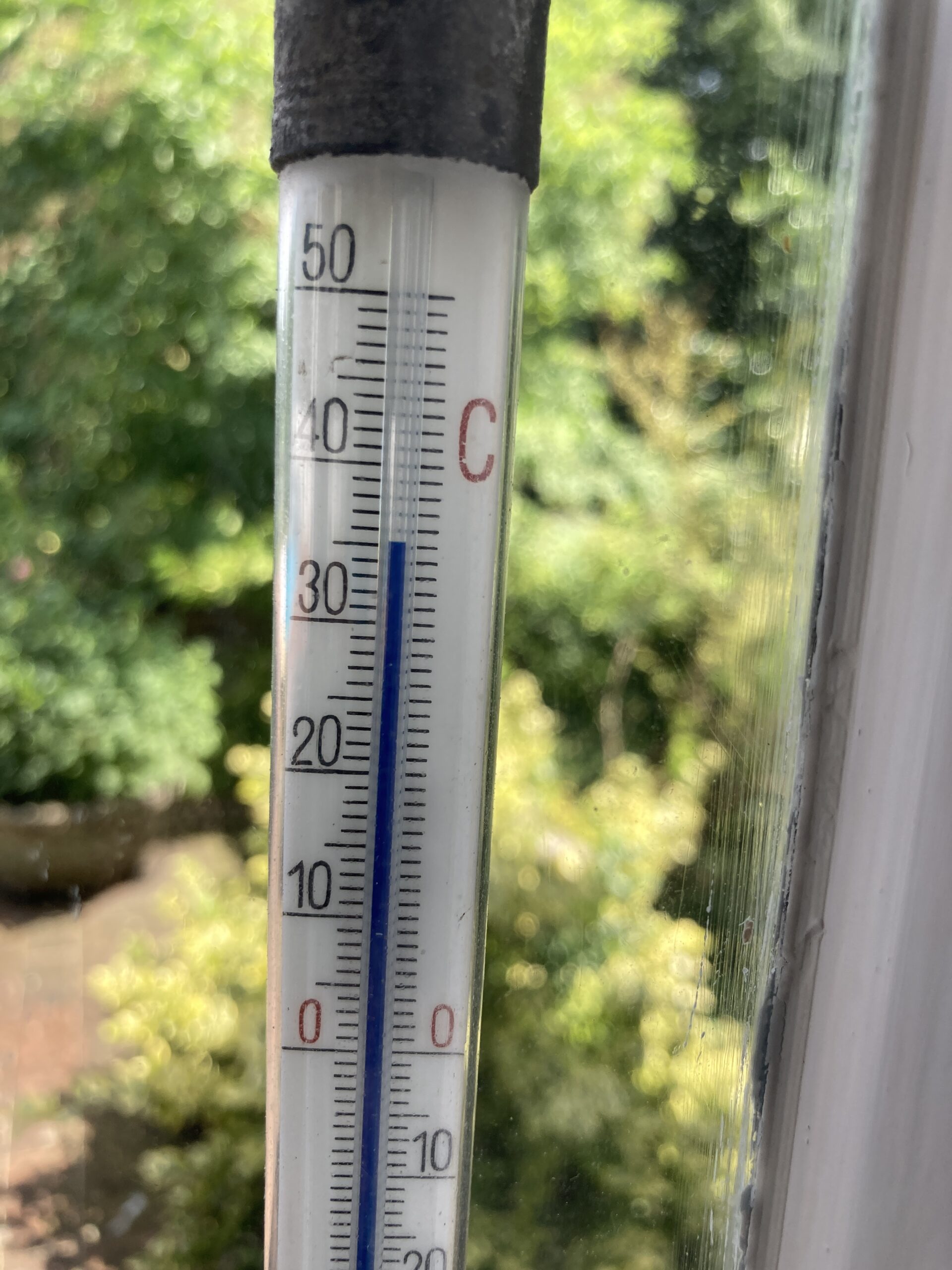 Hitzewelle: Die Stadt Wien weitet das Beratungsangebot stark aus