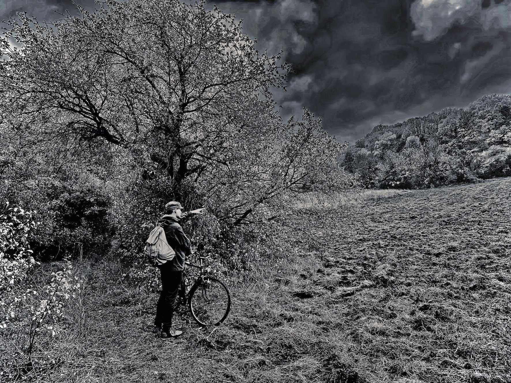 Eine packende Geschichte: “Irgendwohin und zurück”