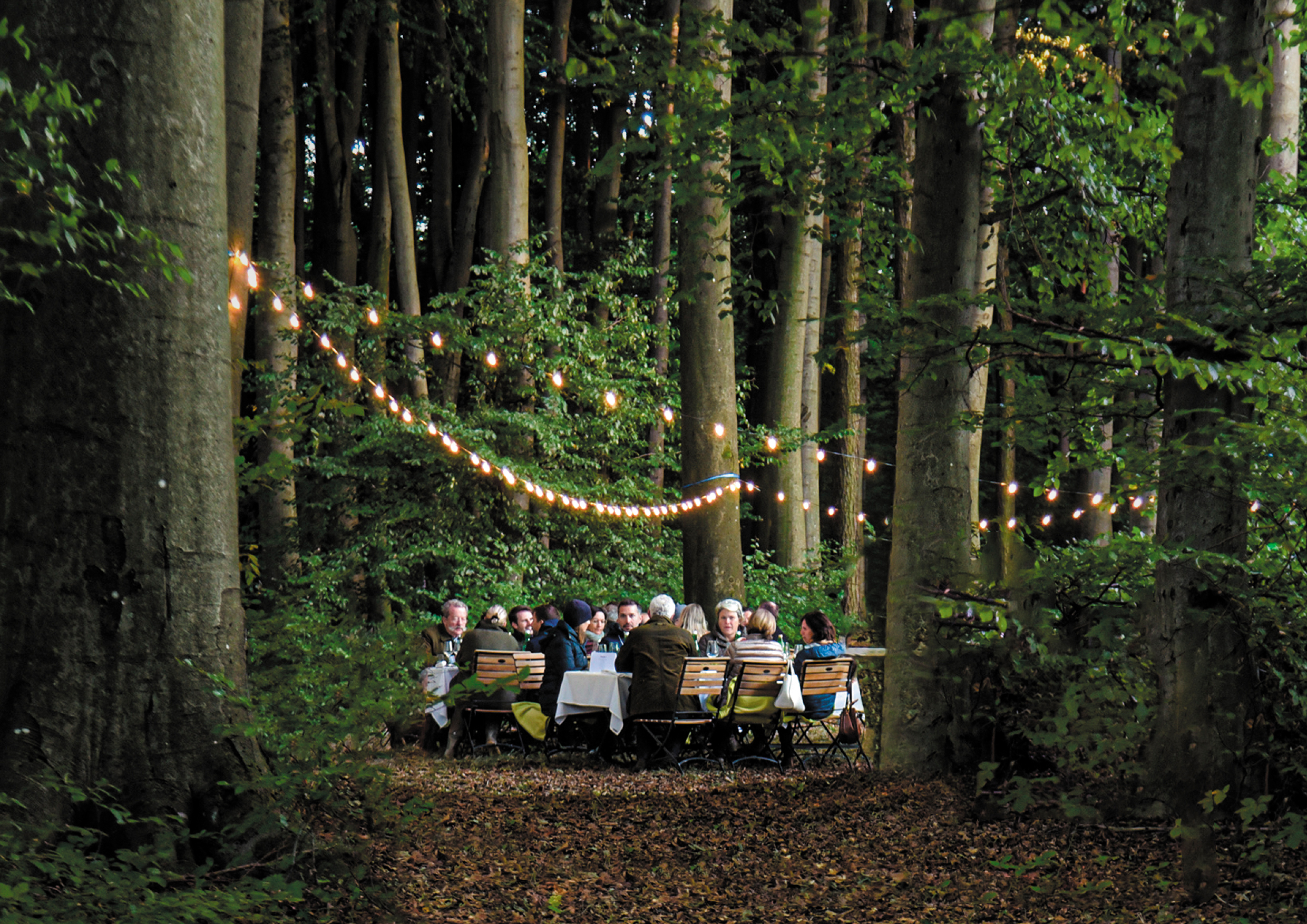 In Wien wird der Wald bald zum Gourmet-Restaurant