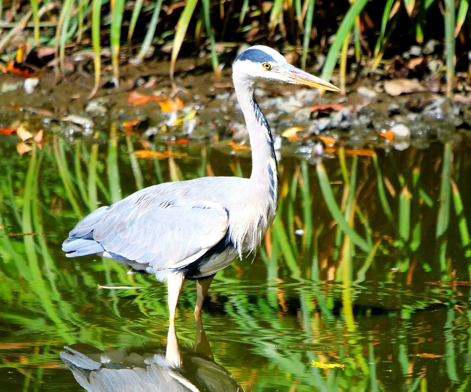 Ferientipp: Entdecke die Wälder unserer Stadt!