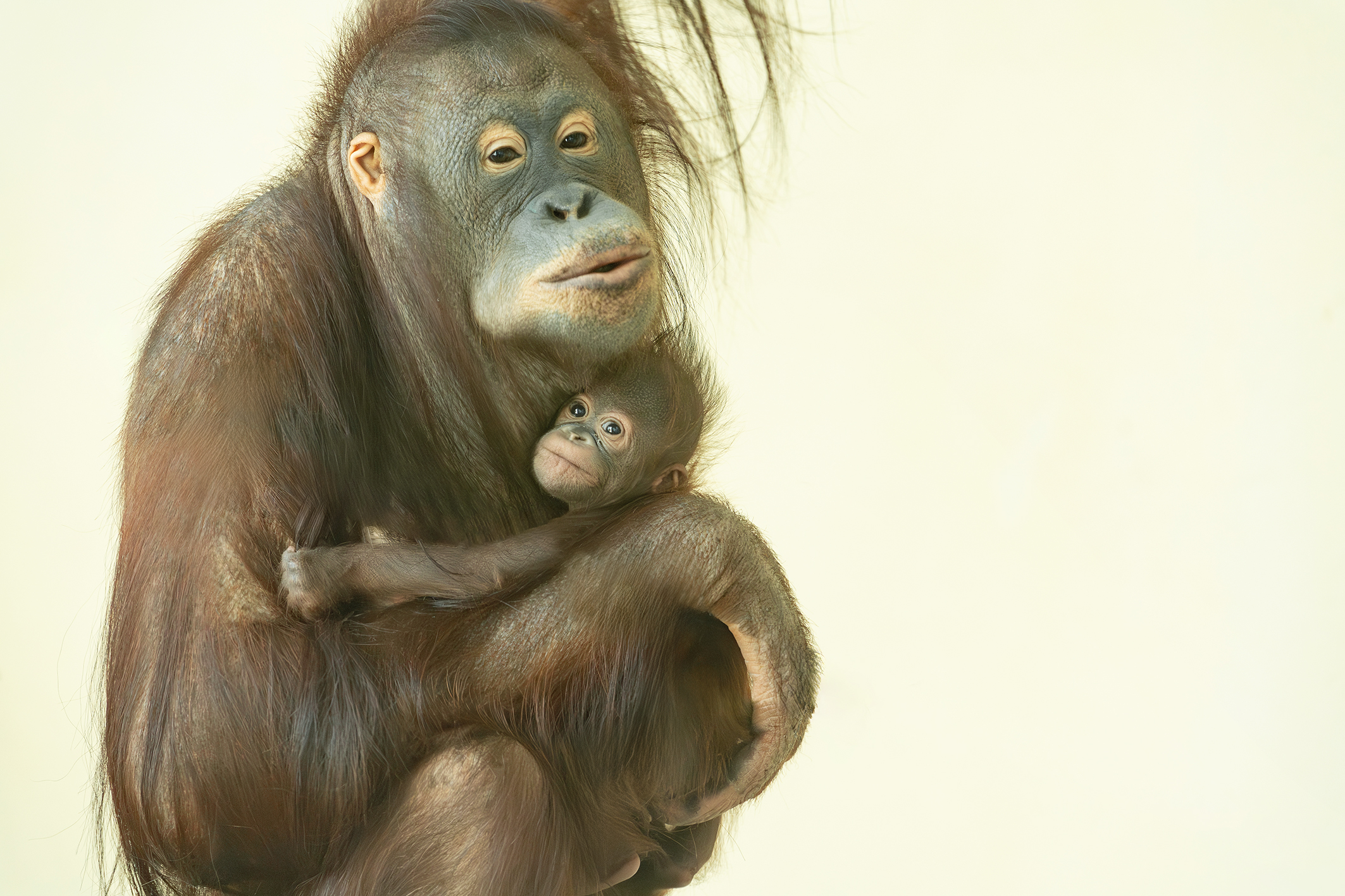 Im Namen des Artenschutz: Tiere bleiben nun namenlos