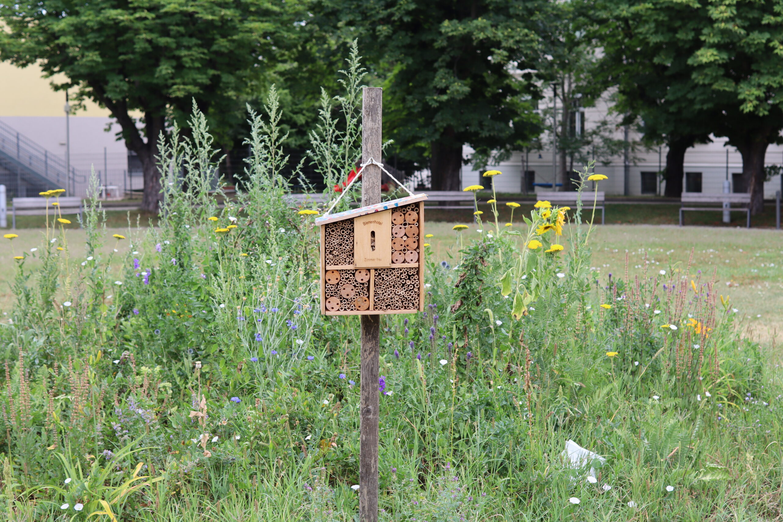 Im Spital Speising hat man ein Herz für alle Lebewesen