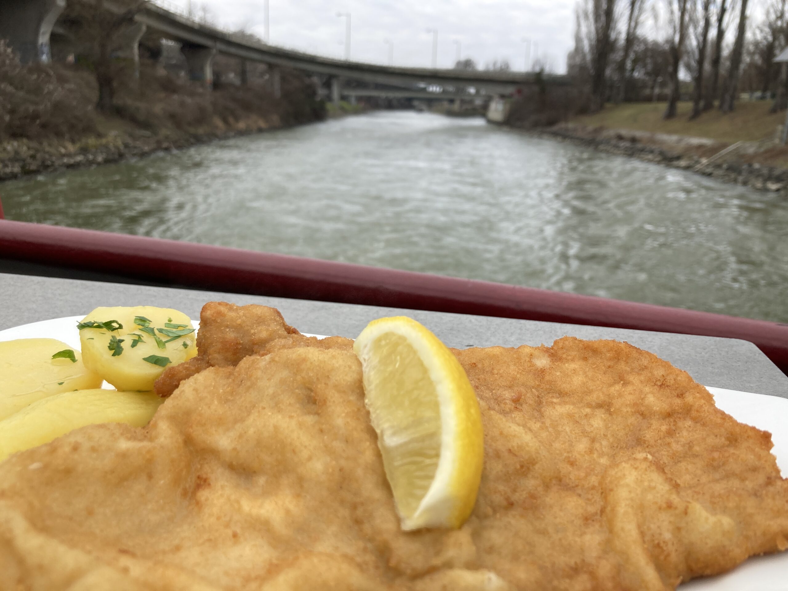 Schnitzel-Voting: Ein echtes Wiener geht nicht unter