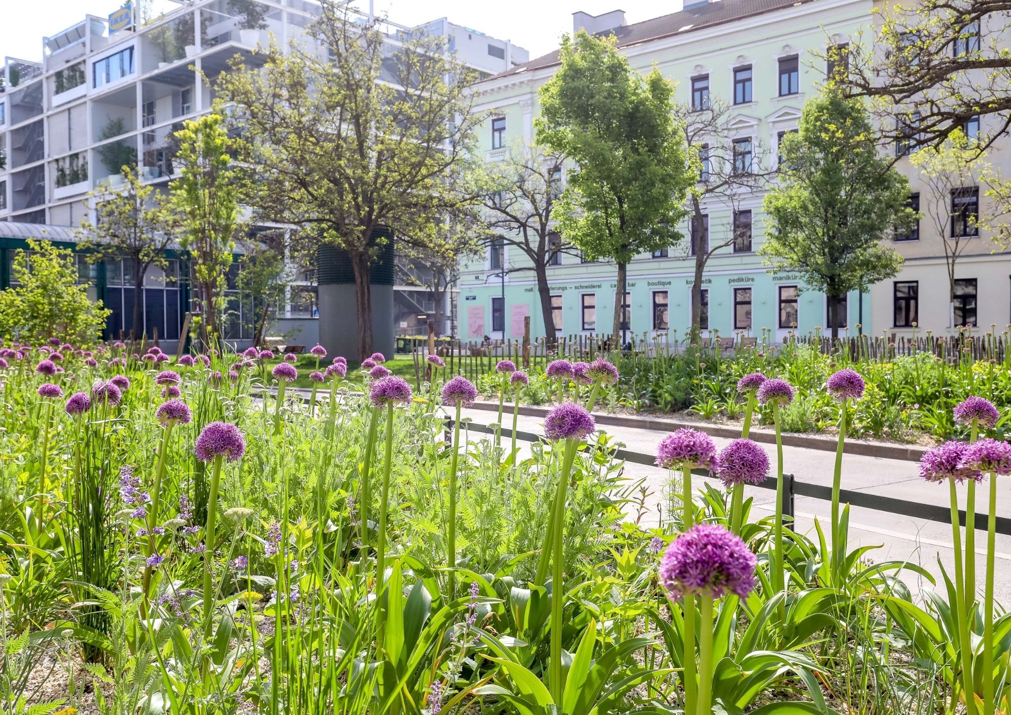 Langauerplatz: vom Parkplatz zum begrünten Grätzlzentrum