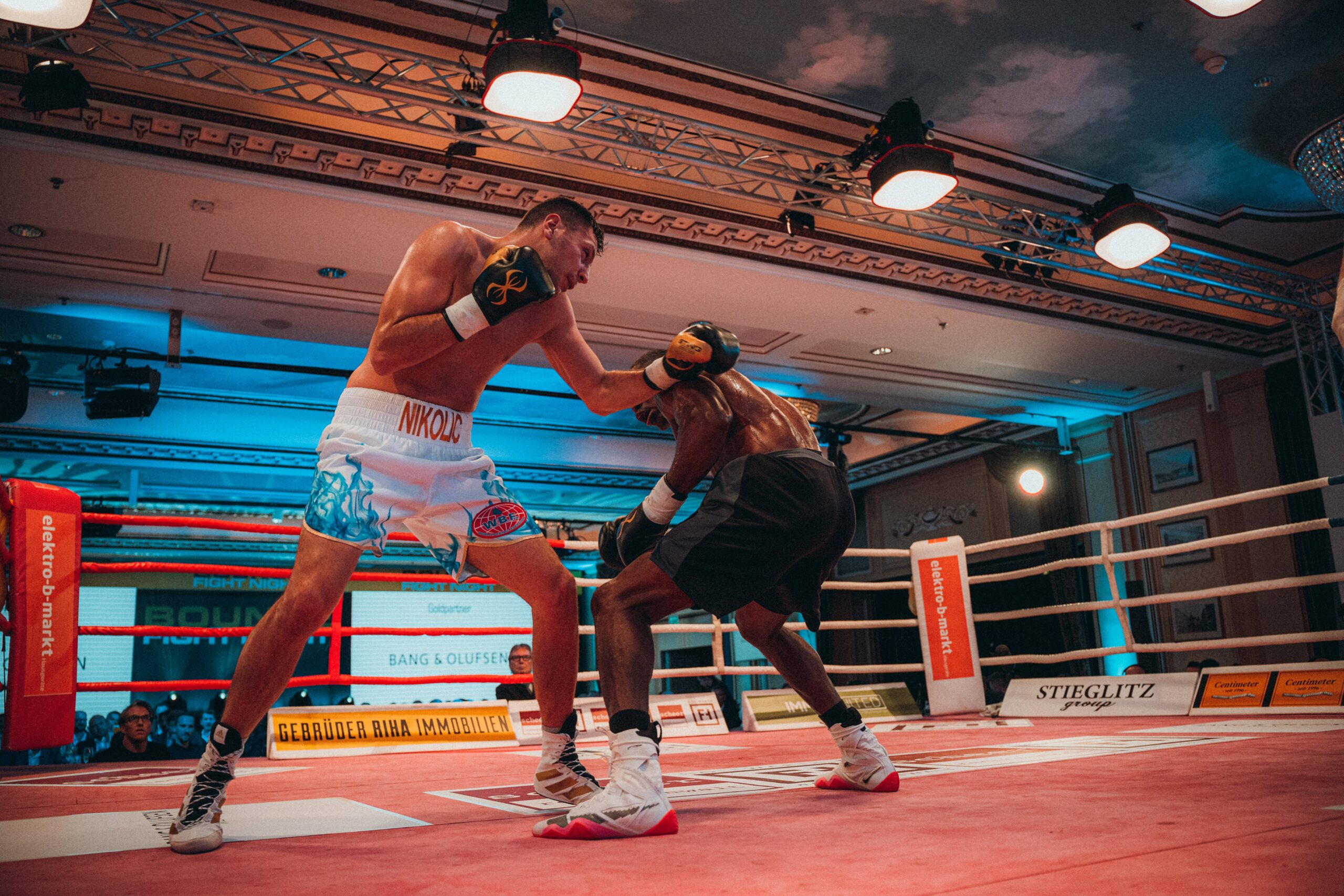 Nacht des El Grande: Nikolic will den WBF-Titel!