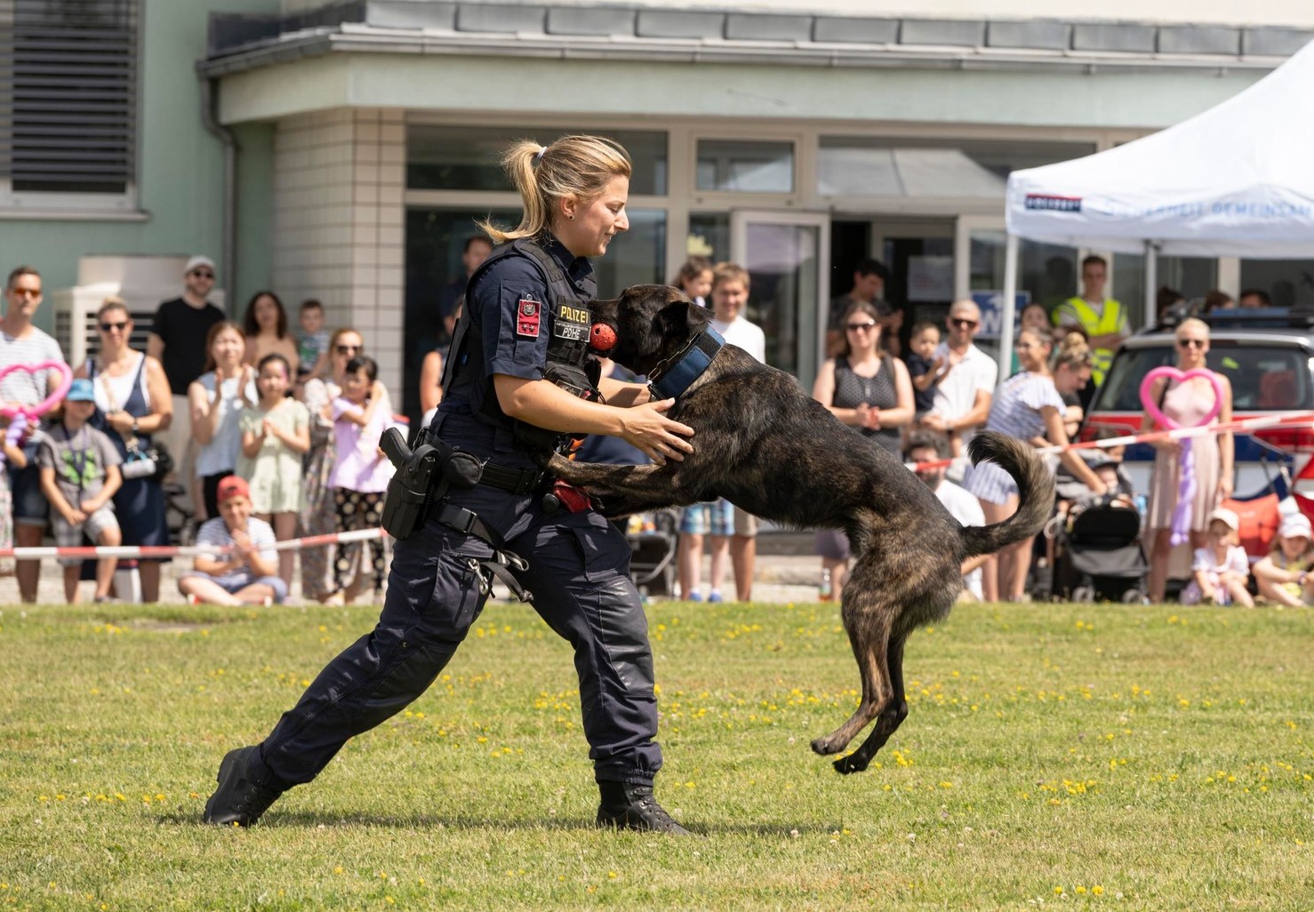 Ferienspiel: Polizeihunde zeigen ihr Können