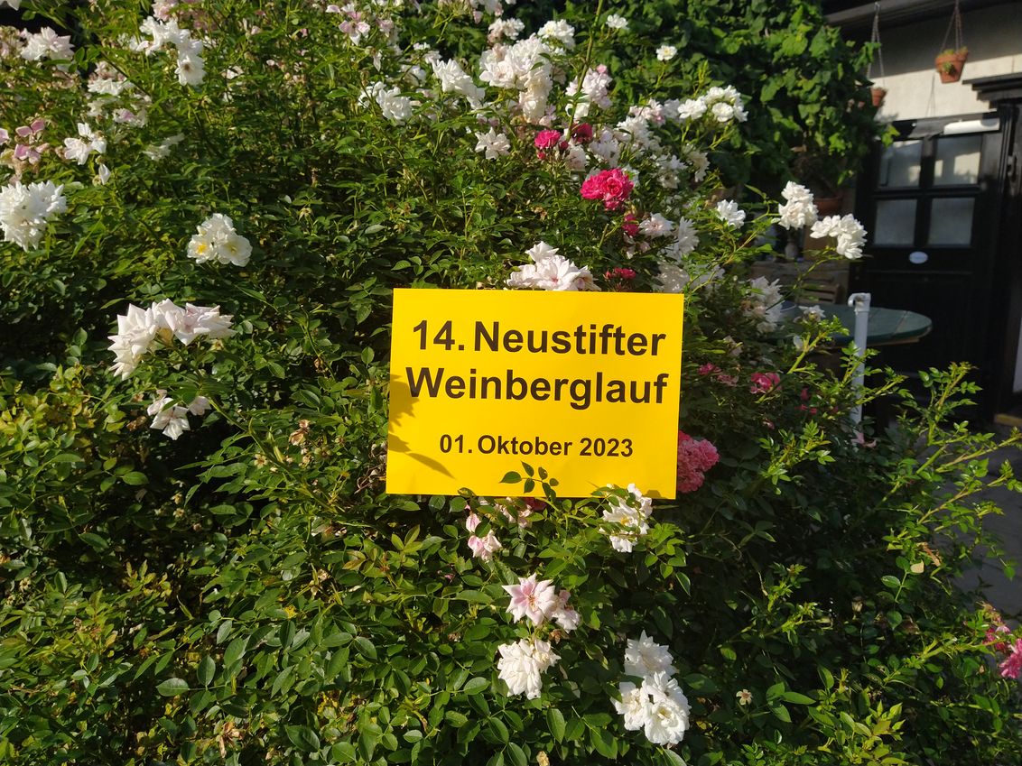 Sportliches Spektakel beim Neustifter Weinberglauf