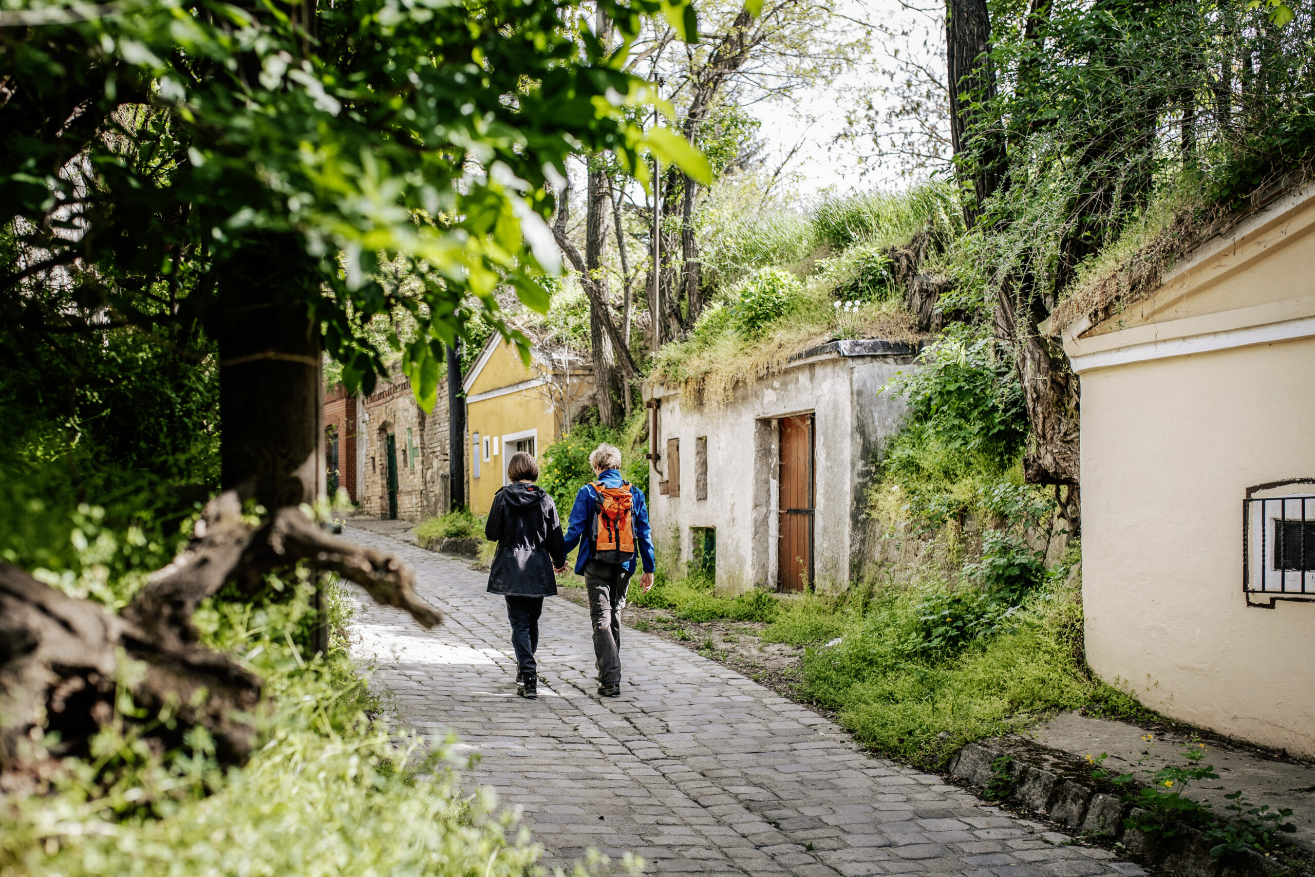 Am Wochenende führt die Wanderung zum Wein