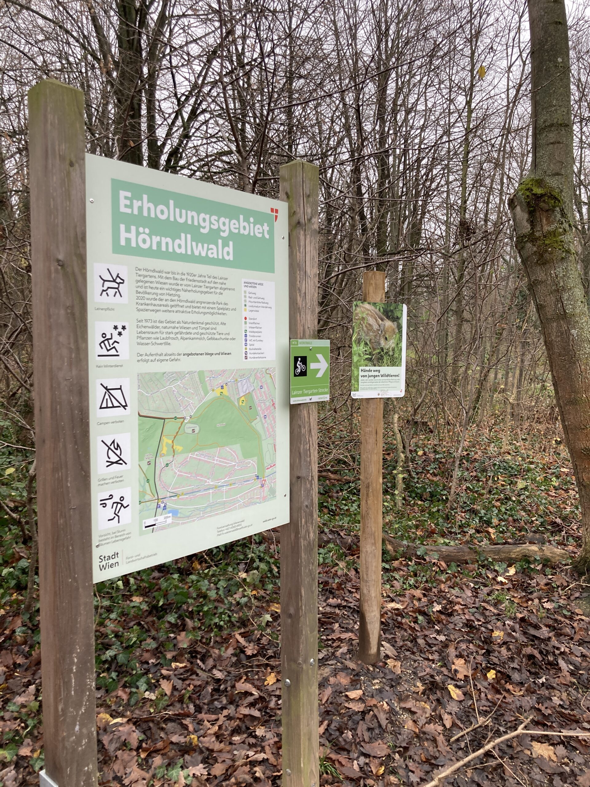 Hietzing: Hörndlwald bleibt auch in Zukunft ein Wald