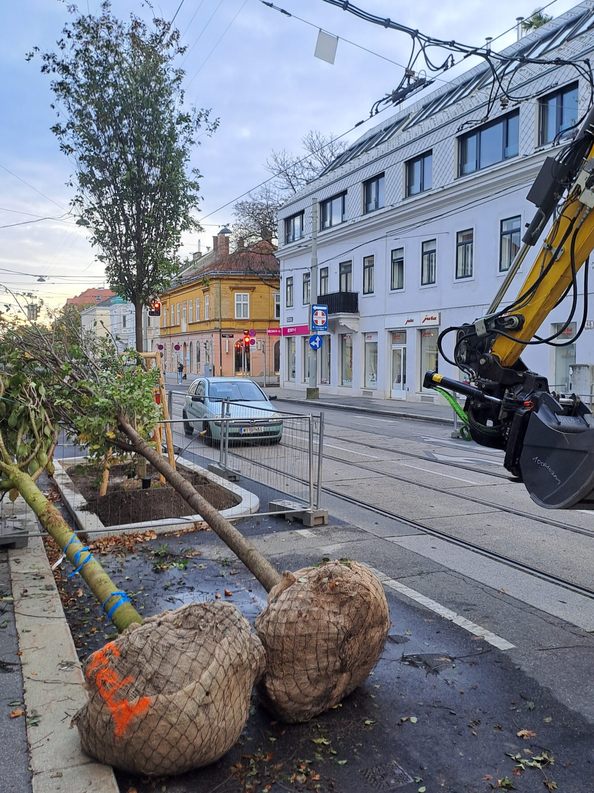 Hietzinger Hauptstraße wurde nun zu einer Allee
