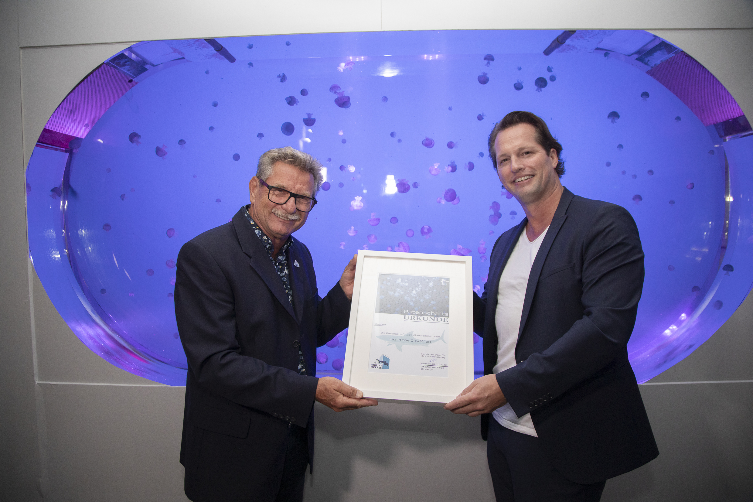 Jaz in the City & Haus des Meeres: Quallen verbinden