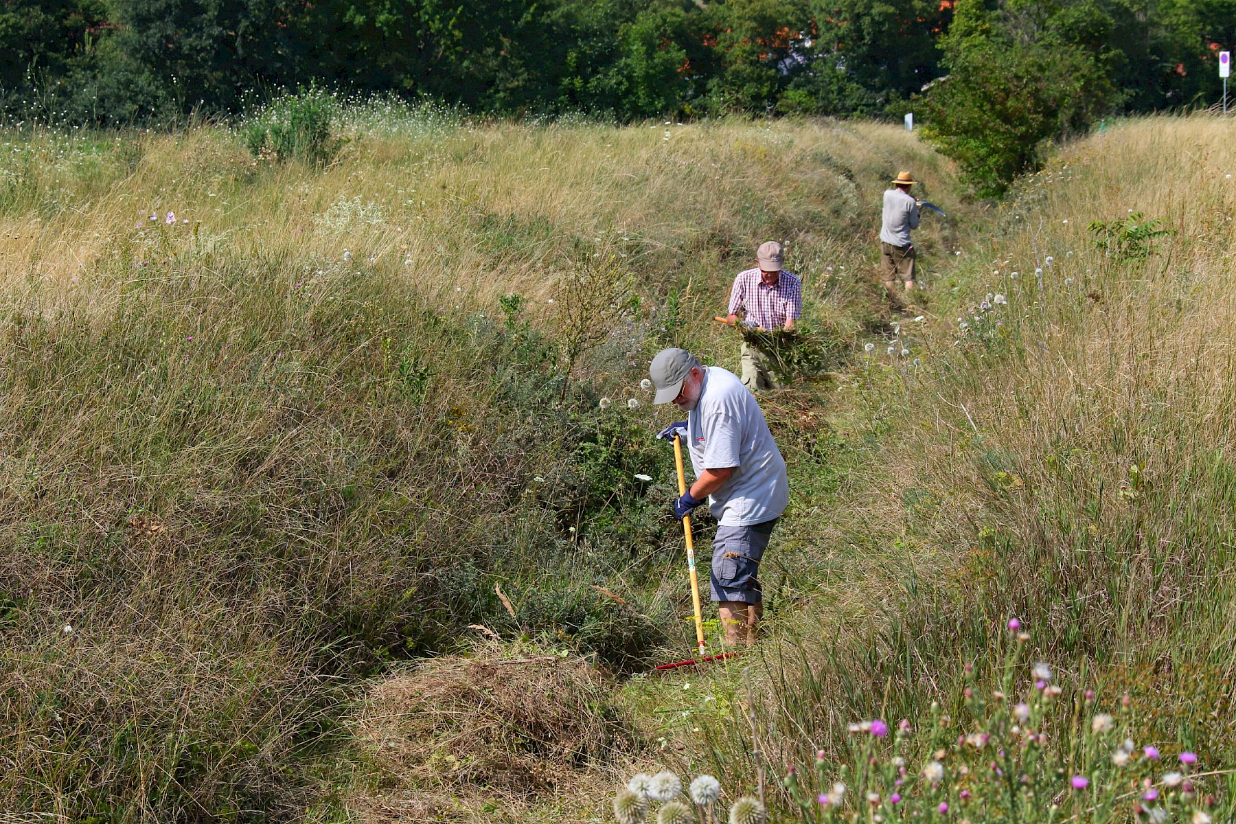 Favoriten: Helfer für die Landschaftspflege gesucht