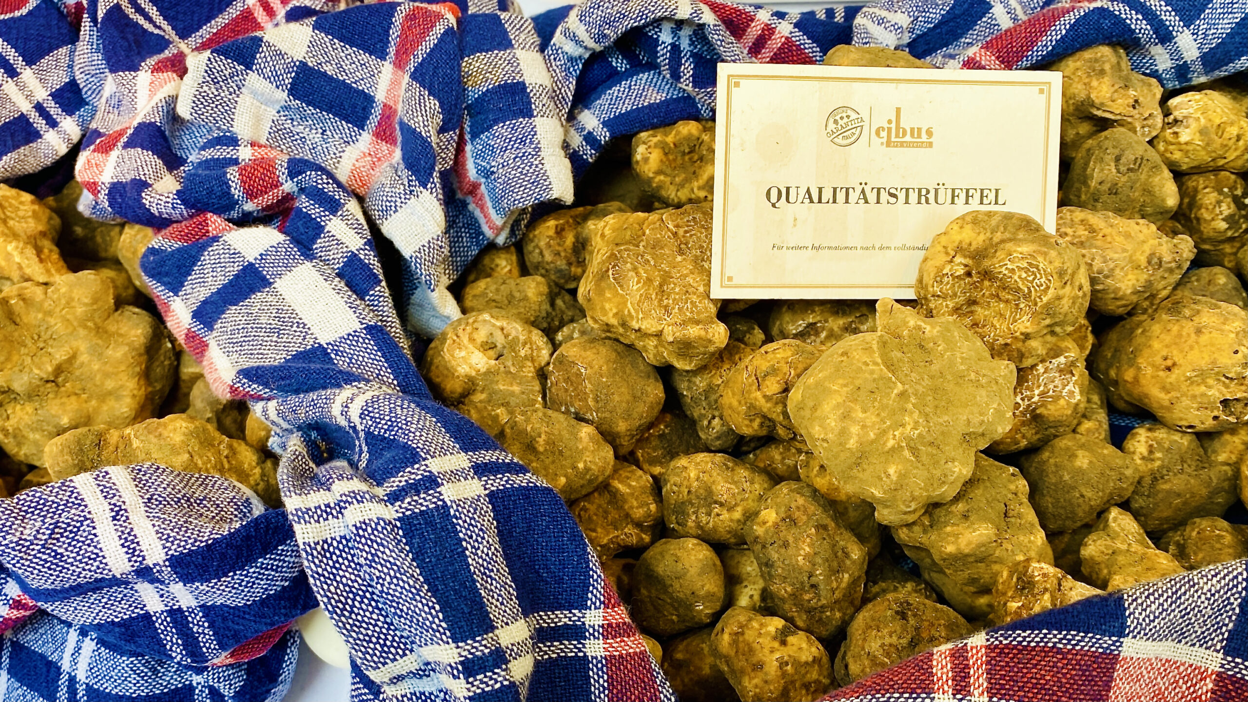 Die Trüffelsaison startet wieder im VIENNABallhaus