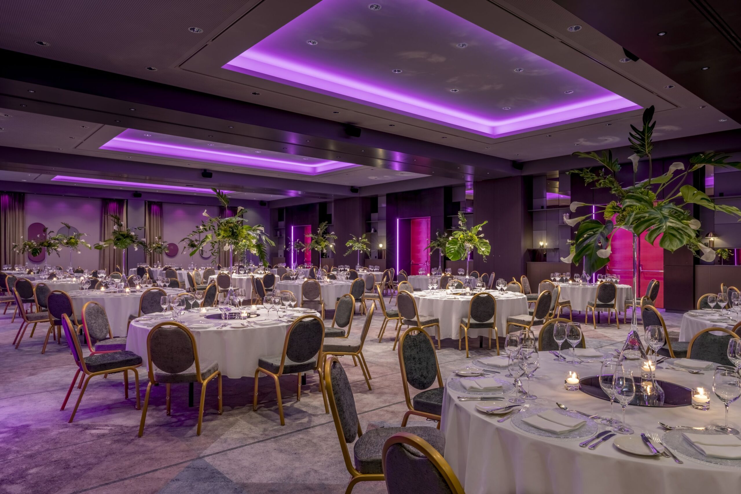 Ball-Künstler bitten zum violetten Ball-Vergnügen