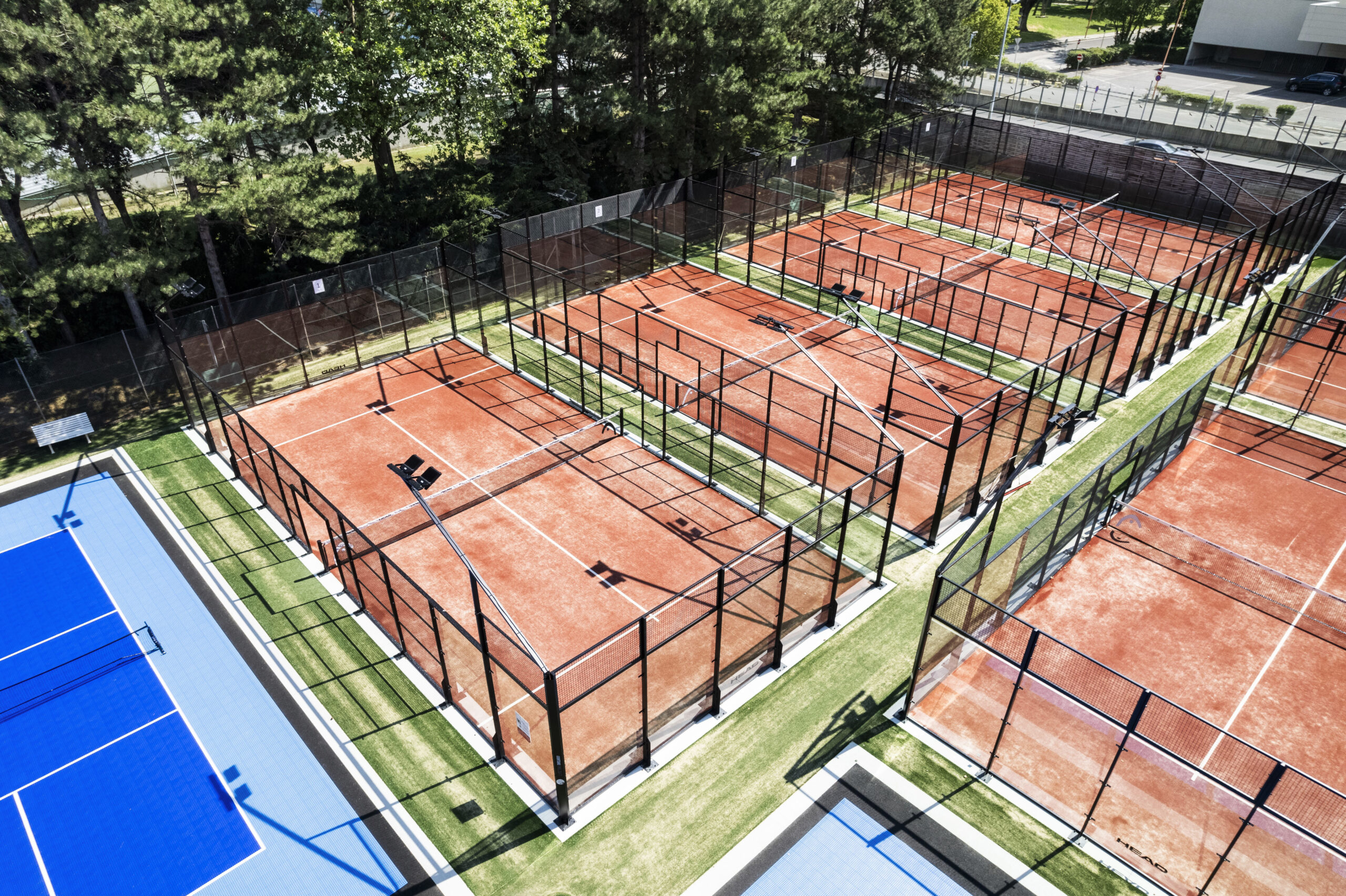 Donaucity: Trendsport Padeltennis bringt Schwung