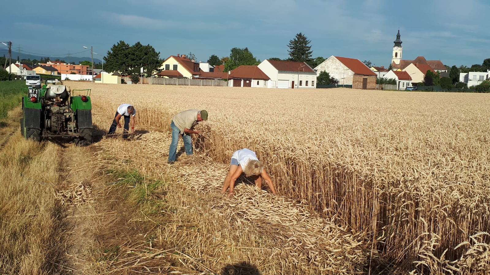 Podcast: Landwirtschaft in Wien geht ins Ohr