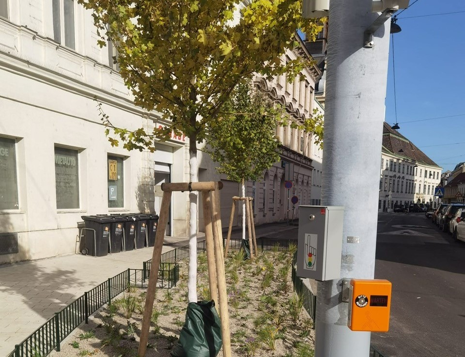 Penzing: Ein neuer Radweg und zusätzliche Bäume