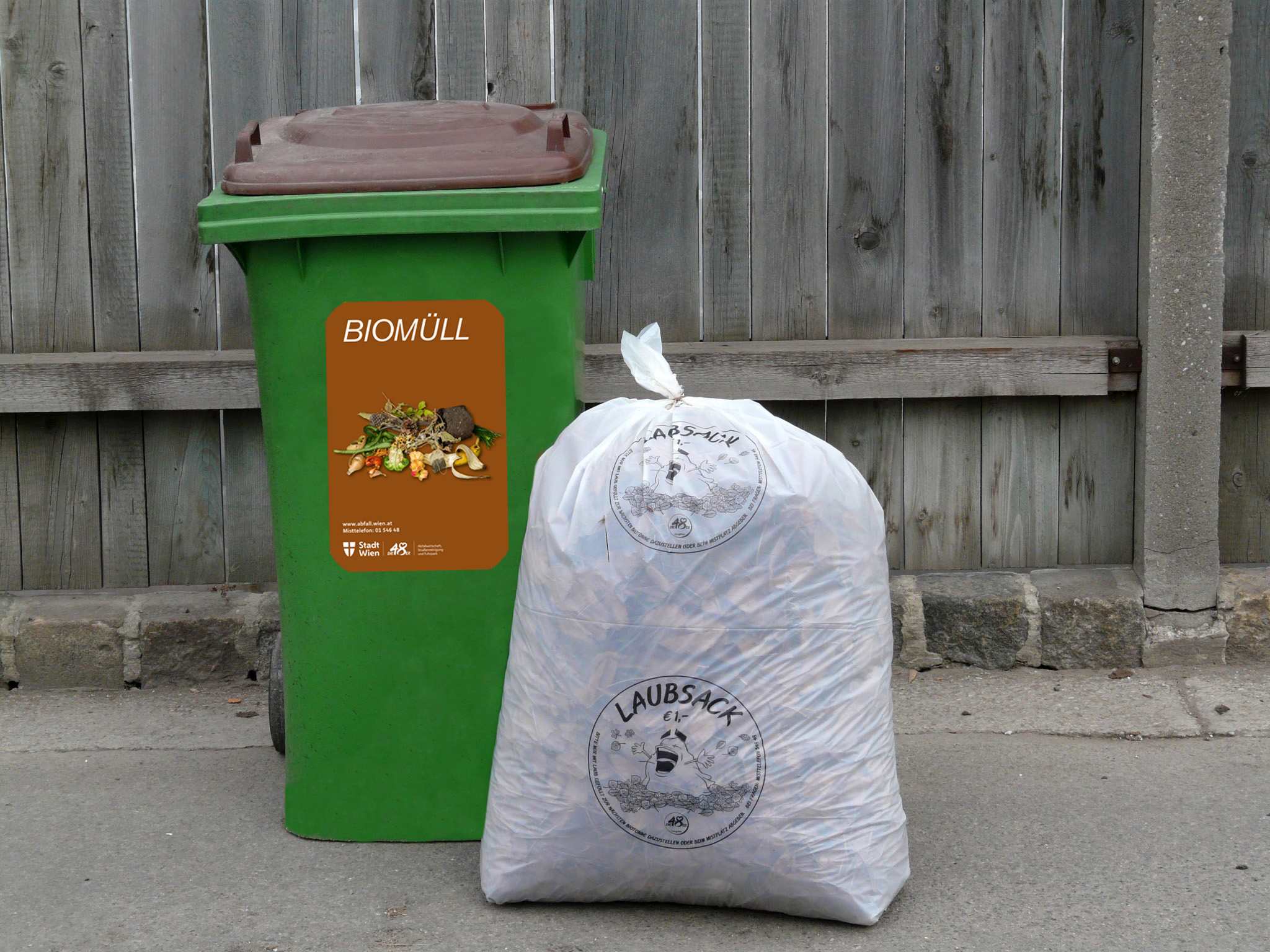 Wohin mit dem vielen Laub? Ab in den Sack!