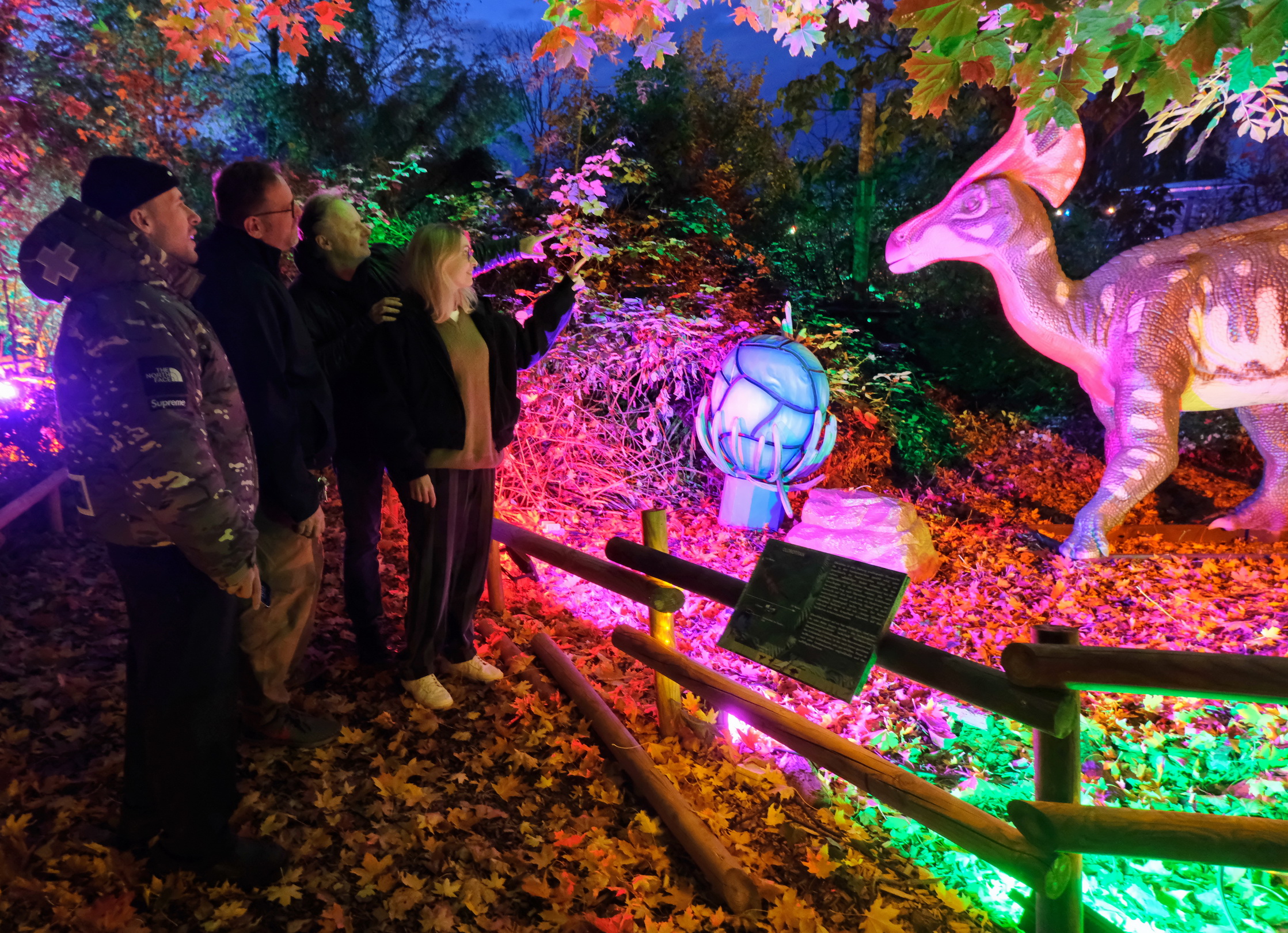 Tattendorf: Neue Dinos begeistern bald im Lichterwald