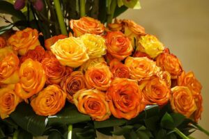 Valentinstag: Zwei Drittel wollen Geschenke kaufen