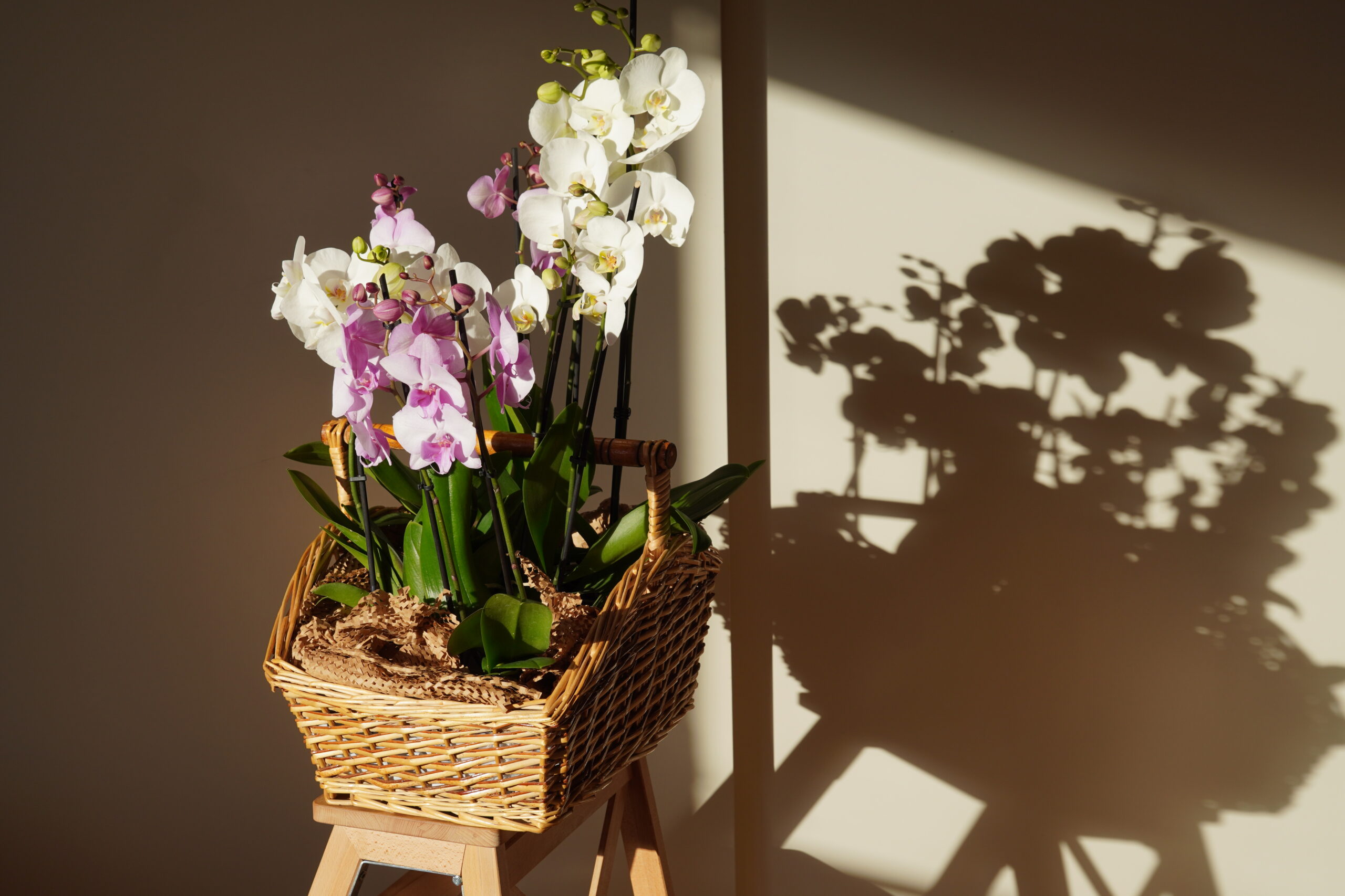 Selfmaid-Serie Teil 21: Orchideen-Garten