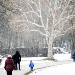 Winterliche Spaziergänge im Lainzer Tiergarten