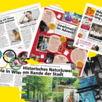 WBB20 Ankündigung