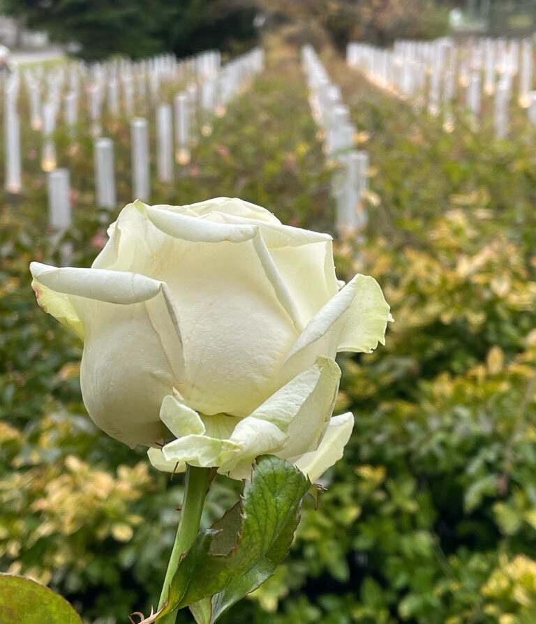 Opfergedenken: Berührende Feier am Spiegelgrund