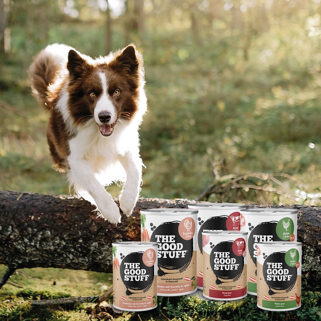 Drei neue Nassfutter-Sorten für Hunde von THE GOODSTUFF
